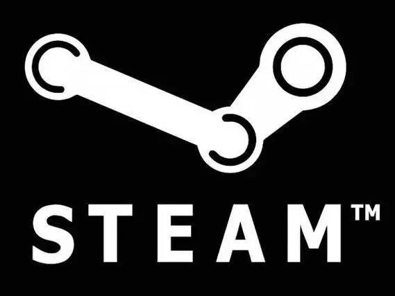 游戏新手必看！steam 下载手机版