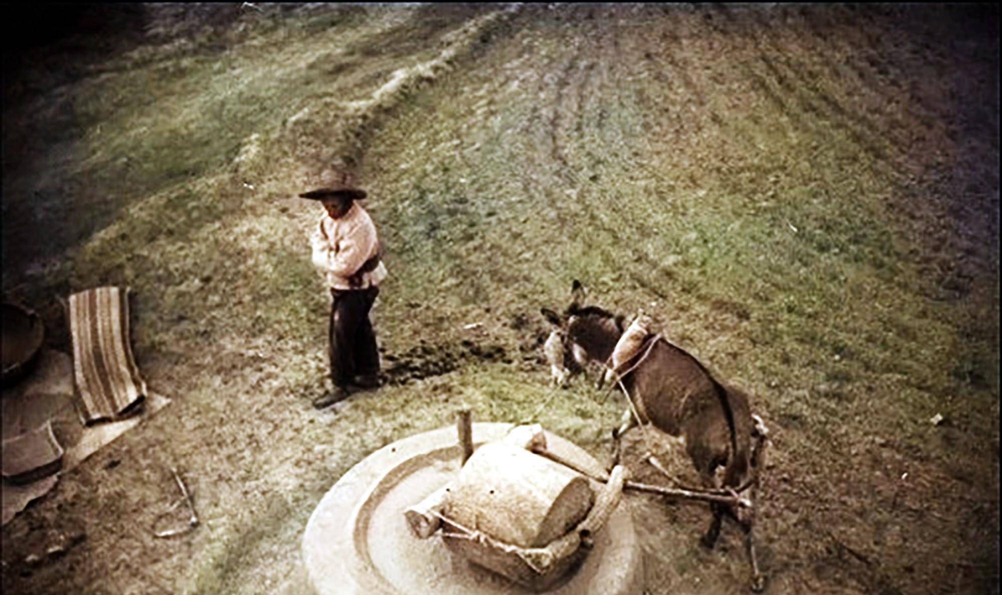 1933年，一个美国人从河州（今临夏）经民和县前往化隆县所见