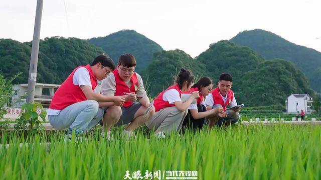 突破！贵州大学在中国国际大学生创新大赛总决赛获7金