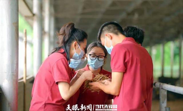 突破！贵州大学在中国国际大学生创新大赛总决赛获7金