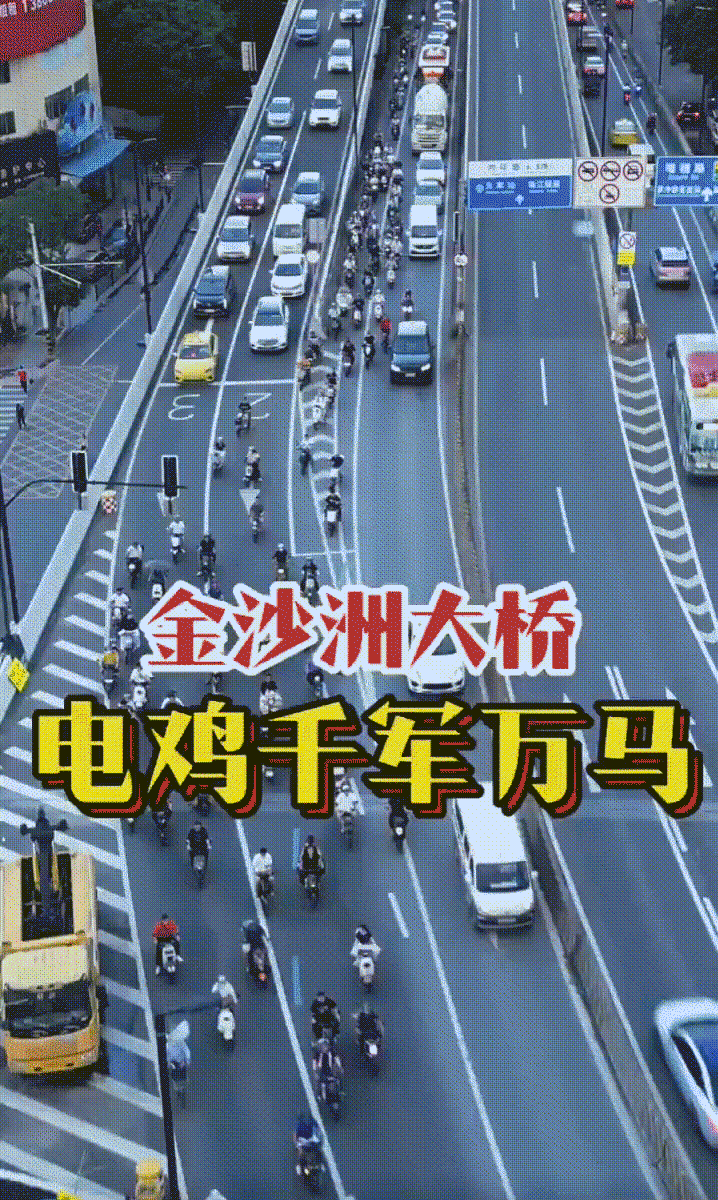 “电鸡围城”，为什么只有广州苦不堪言？