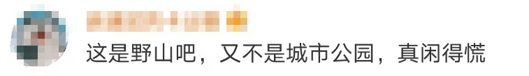 大片连根铲除！深圳一公园“火速响应”引质疑，网友为它喊冤