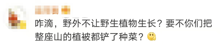 大片连根铲除！深圳一公园“火速响应”引质疑，网友为它喊冤
