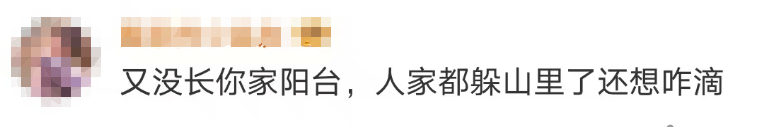 大片连根铲除！深圳一公园“火速响应”引质疑，网友为它喊冤