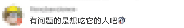大片连根铲除！深圳一公园“火速响应”引质疑，网友为它喊冤