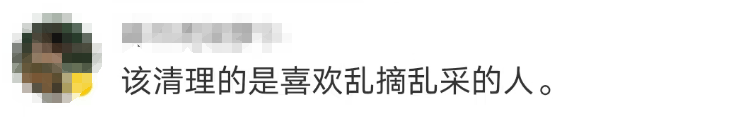 大片连根铲除！深圳一公园“火速响应”引质疑，网友为它喊冤