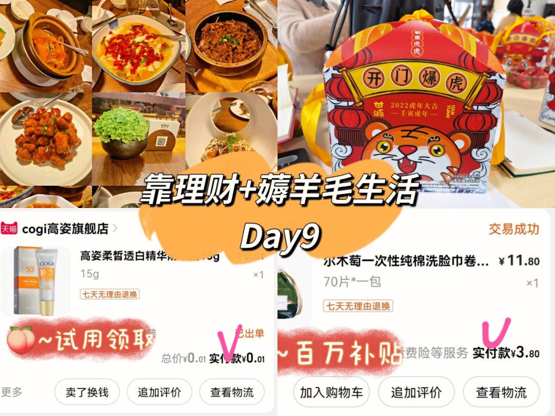 理财薅羊毛(薅羊毛理财赚钱)