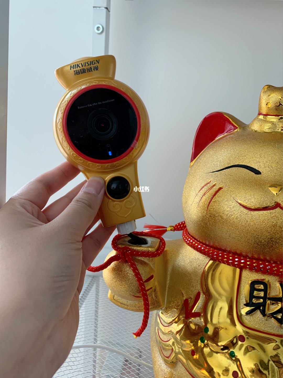 招财猫理财安全吗(招财猫理财产品)