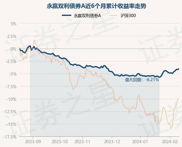 双利理财(双利基金是什么意思)