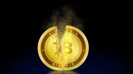 猴币虚拟货币的简单介绍