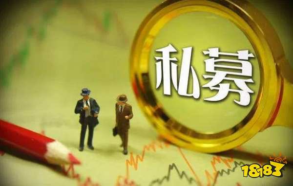虚拟币私募(虚拟币私募是怎样操作的)