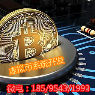 定制虚拟币(定制虚拟币交易网站)
